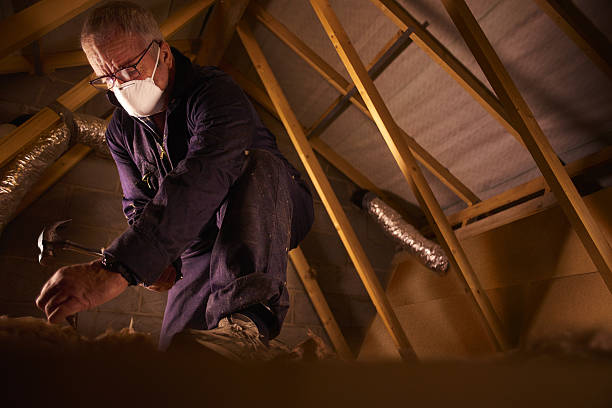 Best Insulation Installation Services in Pana, IL